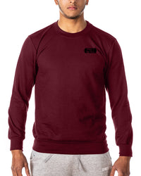 GYMTIER Classic - Gym Sweatshirt